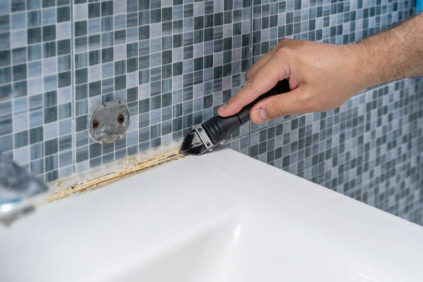 Certified Mold Removal in River Grove, IL